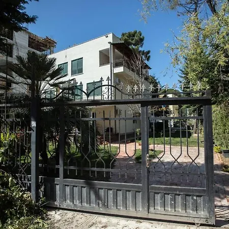 The Pine Grove * 格勒姆